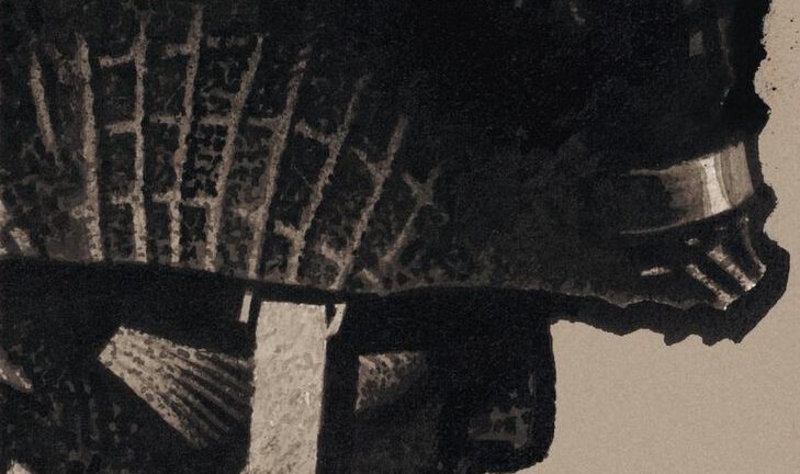 Cover von EIN STERN AUS SCHWARZER BAUMWOLLE