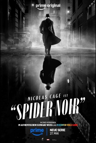 Filmposter von SPIDER NOIR mit Nicolas Cage